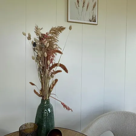 Tinyhouse Ochtendgloren Jaktstuga