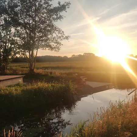 Orman Evi Tinyhouse Ochtendgloren Haastrecht