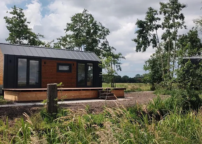 Tinyhouse Ochtendgloren Orman Evi