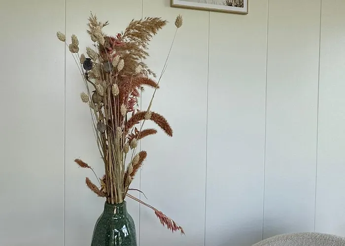 Tinyhouse Ochtendgloren Orman Evi